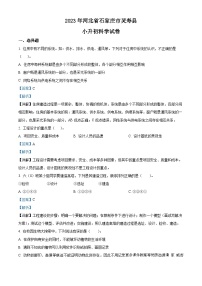 2022-2023学年河北省石家庄市灵寿县教科版六年级下册期末测试科学试卷（解析版）