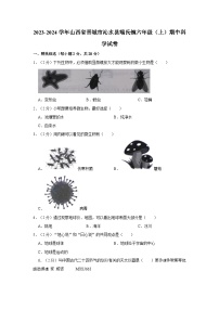 山西省晋城市沁水县端氏镇2023-2024学年六年级上学期期中科学试卷