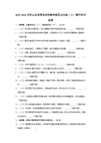 山东省青岛西海岸新区2023-2024学年五年级上学期期中科学试卷