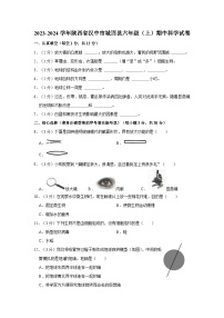 2023-2024学年陕西省汉中市城固县六年级上学期期中科学试卷（含答案解析）