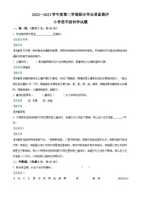 2022-2023学年山东省菏泽市成武县教科版四年级下册期末考试科学试卷（解析版）