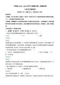 2022-2023学年四川省凉山州宁南县教科版五年级下册期末考试科学试卷（解析版）