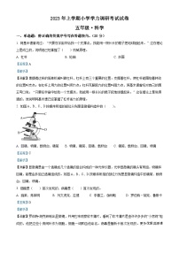 2022-2023学年湖南省湘潭市湘潭县湘科版五年级下册期末考试科学试卷（解析版）