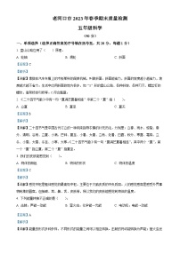 2022-2023学年湖北省襄阳市老河口市人教版五年级下册期末测试科学试卷（解析版）