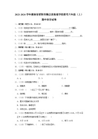 2023-2024学年湖南省邵阳市隆回县街道学校联考六年级上学期期中科学试卷（含答案解析）