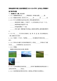 湖南省邵阳市洞口县茶场管理区2023-2024学年 五年级上学期期中复习科学试题