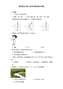 教科版五年级上册科学期末综合训练（含答案） (7)