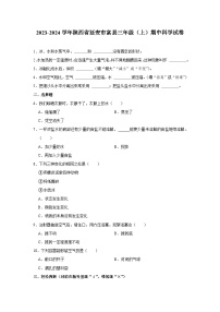 陕西省延安市富县2023-2024学年三年级上学期期中科学试卷