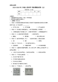 2023-2024学年三年级上册科学（大象版）  期末模拟试卷（五）（含解析）