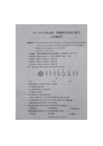 贵州省六盘水市盘州市启智园学校2023-2024学年六年级上学期10月期中作业综合练习科学试卷