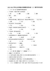 山东省烟台市栖霞市2023-2024学年四年级上学期期中科学试卷