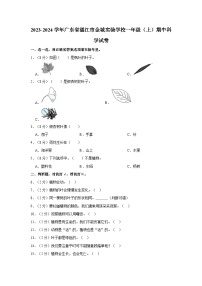 广东省湛江市金城实验学校2023-2024学年一年级上学期12月期中科学试题