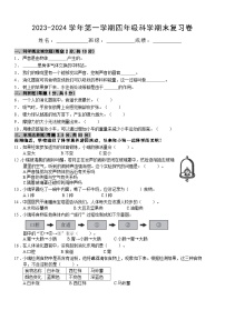 期末复习卷（试题）-教科版科学四年级上册