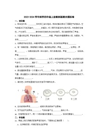 2023-2024学年科学四年级上册教科版期末模拟卷