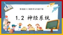 小学科学青岛版 (六三制2017)五年级下册2 神经系统试讲课ppt课件