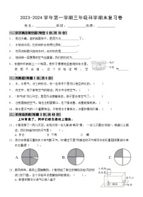 期末复习（试题）-教科版科学三年级上册