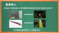 苏教版 (2017)五年级下册第二单元 仿生5 生物的启示评优课作业ppt课件