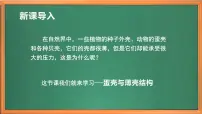 小学科学苏教版 (2017)五年级下册6 蛋壳与拱形建筑精品作业ppt课件