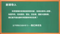 苏教版 (2017)五年级下册第二单元 仿生8 我们来仿生公开课作业课件ppt