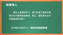 小学科学苏教版 (2017)五年级下册11 昼夜对动物的影响优质作业课件ppt