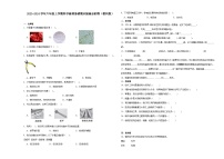 （期末押题卷）期末综合测试一模卷-2023-2024学年六年级上学期科学高频易错期末提高必刷卷（教科版）