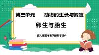 科学四年级下册第三单元 动物的生长与繁殖8 卵生与胎生教学ppt课件