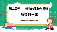 冀人版 (2017)四年级下册7 植物的一生教学ppt课件