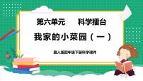 小学科学冀人版 (2017)四年级下册18 我家的小菜园（一）教学ppt课件