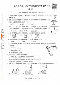 广东省深圳市罗湖区2023-2024学年五年级上学期期末考试科学试卷