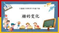 小学科学大象版 (2017)六年级下册1 糖的变化一等奖课件ppt