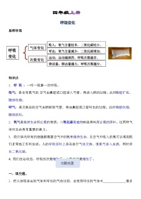 第2单元   呼吸与消化 -2023-2024学年四年级科学上册期中专项复习（教科版）