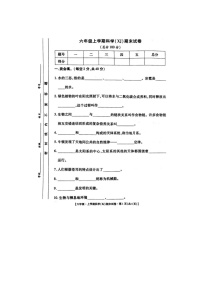 陕西省安康市汉滨区新城办果园小学2023-2024六年级上学期科学期末试卷