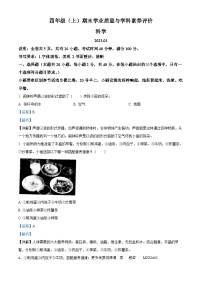 2022-2023学年广东省深圳市罗湖区教科版四年级上册期末考试科学试卷（解析版）