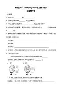 教科版2023-2024学年小学六年级上册科学期末综合复习卷（附答案）