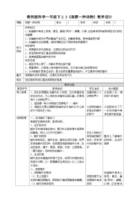 小学科学教科版 (2017)一年级下册3.观察一种动物教案及反思