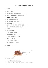 小学科学教科版 (2017)一年级下册3.观察一种动物课堂检测