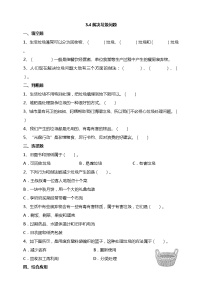 小学科学教科版 (2017)五年级下册4.解决垃圾问题巩固练习