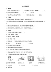 小学科学教科版 (2017)五年级下册6.让资源再生课时训练