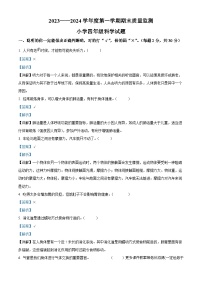 2023-2024学年黑龙江省大庆市肇源县教科版四年级上册期末考试科学试卷