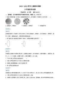 2022-2023学年重庆市江津区教科版六年级上册期末考试科学试卷