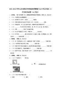 山东省临沂市郯城县褚墩镇兰山小学2023-2024学年五年级上学期11月份月考科学试卷