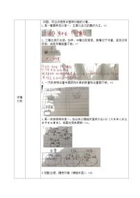 小学科学教科版 (2017)四年级上册6.营养要均衡教案