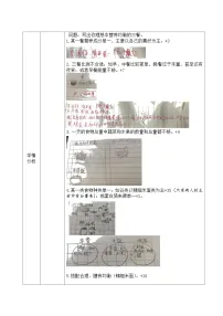 小学科学教科版 (2017)四年级上册6.营养要均衡教案