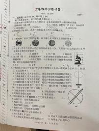 浙江省湖州市吴兴区2023-2024学年六年级上学期期末科学试卷