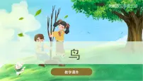 科学3 鸟精品课件ppt