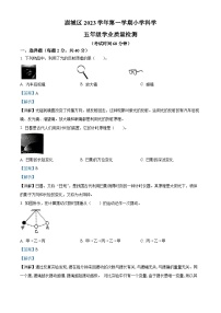 2023-2024学年浙江省温州市鹿城区教科版五年级上册期末考试科学试卷