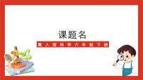 科学六年级下册第六单元 仿生建筑模型22 仿生建筑模型大比拼(三)精品ppt课件