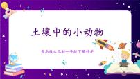 科学一年级下册14 土壤中的小动物优秀课件ppt