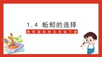 科学教科版 (2017)4.蚯蚓的选择优质ppt课件