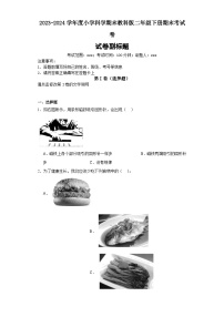 2023-2024学年度小学科学期末教科版二年级下册期末考试卷